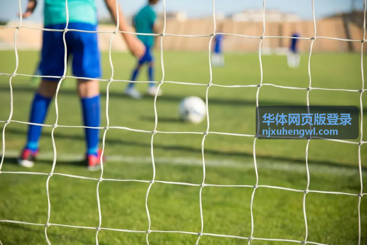 华体网页版登录账号验证流程